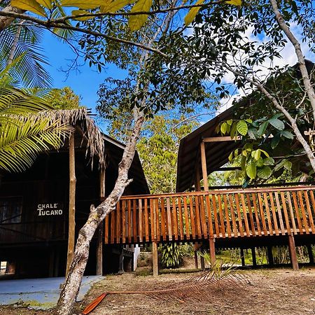 Ponta Poranga Jungle Lodge Manaus Eksteriør billede