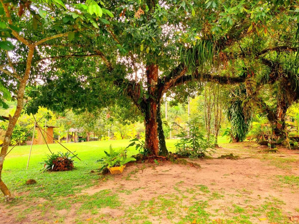 Ponta Poranga Jungle Lodge Manaus Eksteriør billede