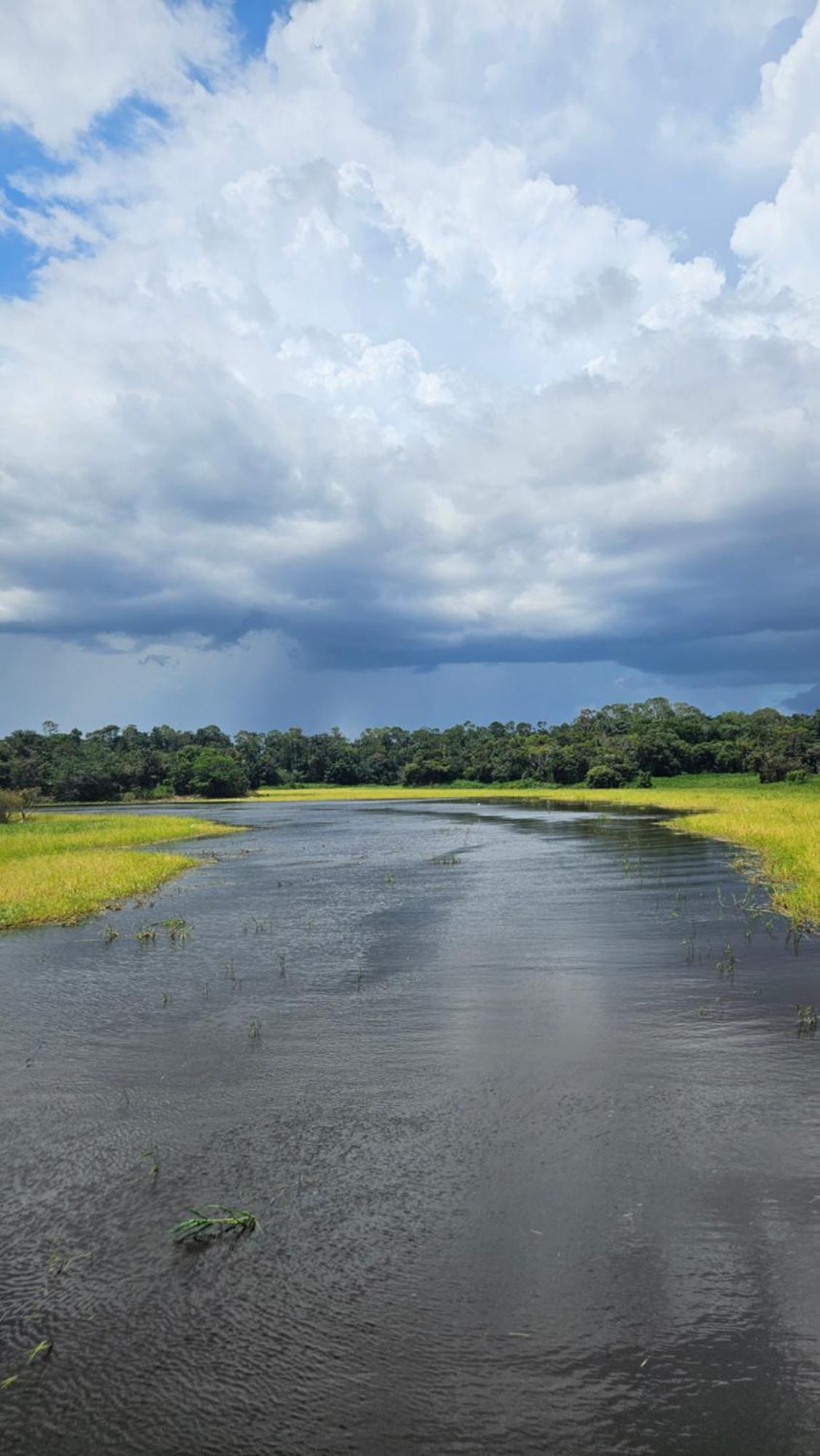 Ponta Poranga Jungle Lodge Manaus Eksteriør billede
