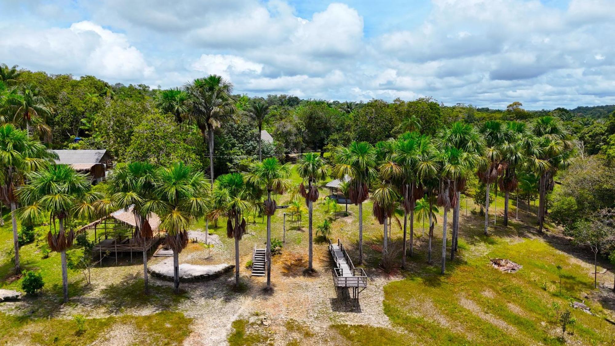 Ponta Poranga Jungle Lodge Manaus Eksteriør billede