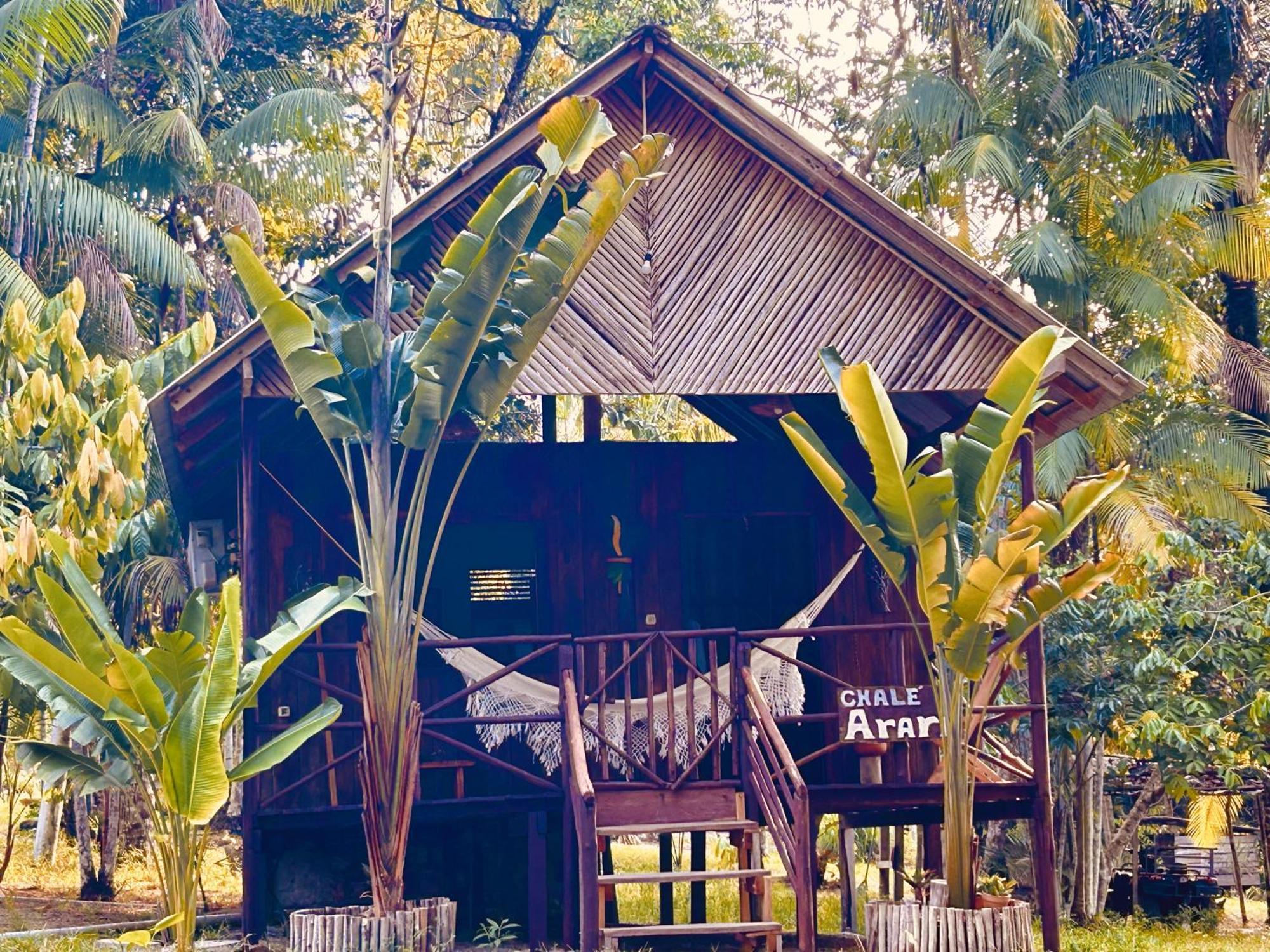 Ponta Poranga Jungle Lodge Manaus Eksteriør billede