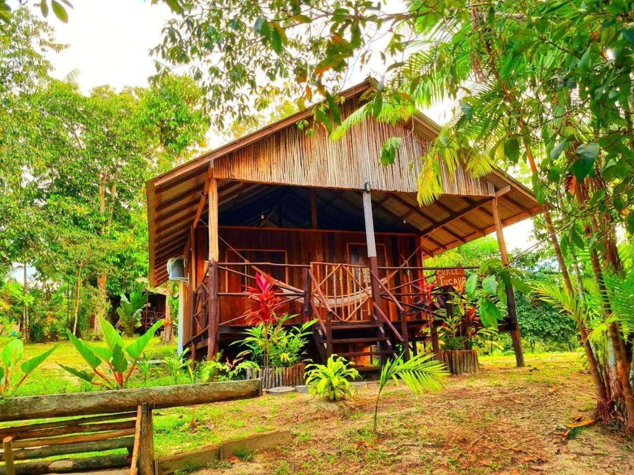 Ponta Poranga Jungle Lodge Manaus Eksteriør billede
