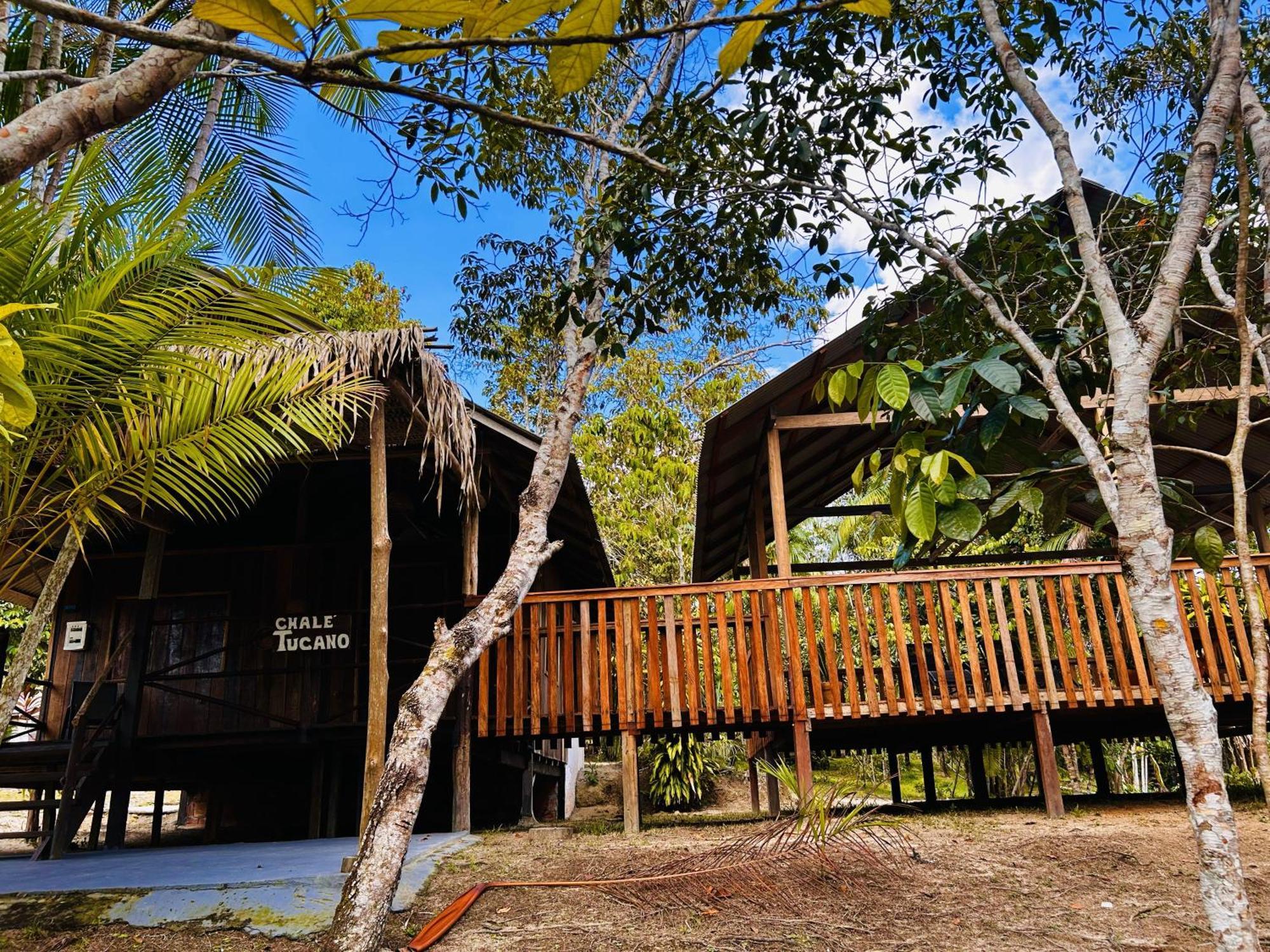 Ponta Poranga Jungle Lodge Manaus Eksteriør billede